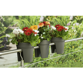Geländerblumenkasten, Kunststoff (PP), anthrazit, rund