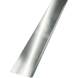 Glassteinabschlussprofil, BxL: 8 x 125 cm, Edelstahl
