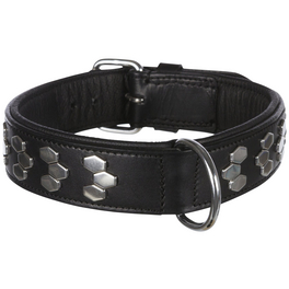 Halsband, Active, L-XL: 55-65 cm/40 mm, Leder, Schwarz