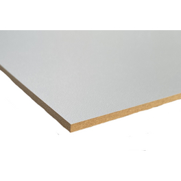 HDF-Platte, BxL: 600 x 1200 mm, Hochdichte Faserplatte (HDF), weiß