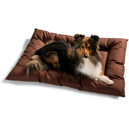 Hunde-Bett, BxHxL: 60 x 8 x 80 cm, braun
