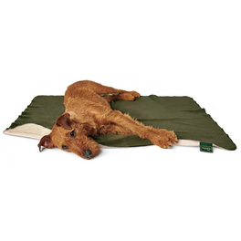 Hunde-Decke, BxL: 70 x 100 cm, grün/beige