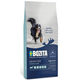 besticktes halsband Hundehalsband