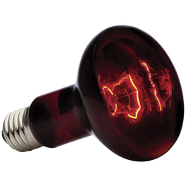 Infrarot-Heizlampe, 100W, Geeignet für: Terrarien
