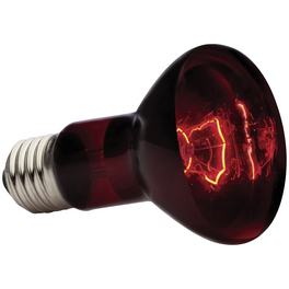 Infrarot-Heizlampe, 50W, Geeignet für: Terrarien