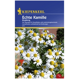 Kamille recutita Chamomilla Kamille recutita Chamomilla