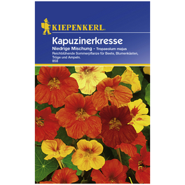 Kapuzinerkresse, Tropaeolum majus, Samen, Blüte: mehrfarbig