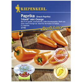 Kiepenkerl Paprika Tribelli Mini