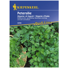 Kiepenkerl Petersilie Gigante de Italia Kiepenkerl Petersilie Gigante de Italia