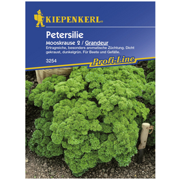 Kiepenkerl Petersilie Mooskrause 2 Grandeur Kiepenkerl Petersilie Mooskrause 2 Grandeur