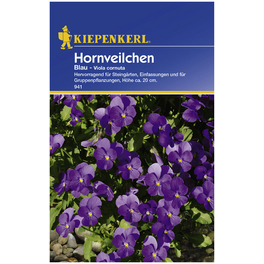 Kiepenkerl Saatgut, Hornveilchen, Stiefmütterchen Viola Cornuta, Zweijährig