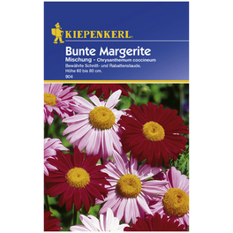 Kiepenkerl Saatgut, Margerite, Chrysanthemum Margerite, Mehrjährig Kiepenkerl Saatgut, Margerite, Chrysanthemum Margerite, Mehrjährig