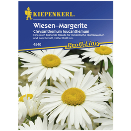 Kiepenkerl Saatgut, Wiesenmargerite, Chrysanthemum leucanth. Wiesen-Margerite, Mehrjährig