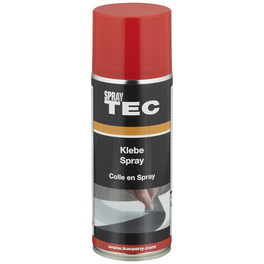 SprayTec Starthilfe Spray