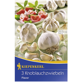 Knoblauch »Knoblauch Flavor« Knoblauch »Knoblauch Flavor«