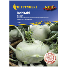 Kohlrabi oleracea var. gongylodes Brassica Kohlrabi oleracea var. gongylodes Brassica