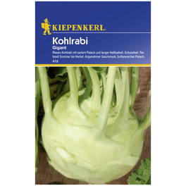 Kohlrabi oleracea var. gongylodes Brassica Kohlrabi oleracea var. gongylodes Brassica