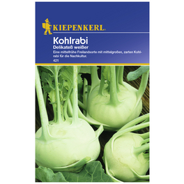 Kohlrabi oleracea var. gongylodes Brassica Kohlrabi oleracea var. gongylodes Brassica