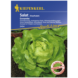 Kopfsalat sativa var. Capitata Lactuca Kopfsalat sativa var. Capitata Lactuca