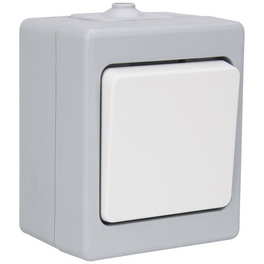 Kreuzschalter »STANDARD«, Thermoplast, grau|weiß