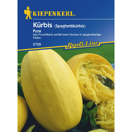 Kürbis »Pyza«, ca. 8 Pflanzen