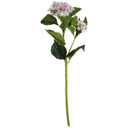 Flower-Power Kunstpflanzen kaufen  bequem online bei hagebau.de