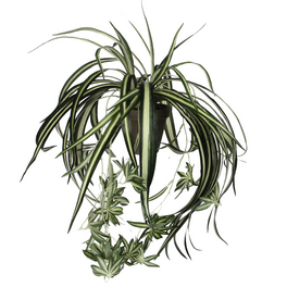 Mica Decorations Kunstpflanze, Tradescantia, Hhe: 25 cm - hagebau.de