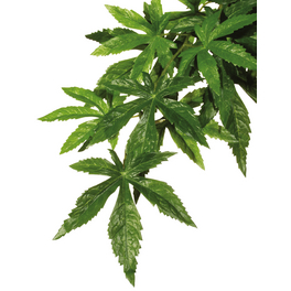 Kunstpflanze, Regenwaldpflanze Abutilon, grün, für Aquarien/Terrarien