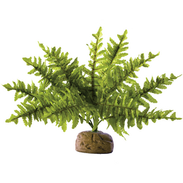 EXO TERRA Terrarium-Pflanzen - online bestellen auf hagebau.de