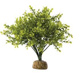 Kunstpflanze, Regenwaldpflanze Buchsbaum, grün, für Aquarien/Terrarien