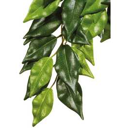 Kunstpflanze, Regenwaldpflanze Ficus, grün, für Aquarien/Terrarien