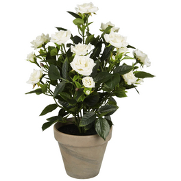 Kunstpflanze, Rosenstrauch, weiß