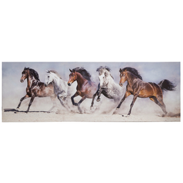 Leinwandbild »CLEO«, BxH: 50 x 150 cm, Motiv: Horses