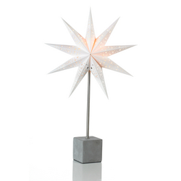 strelitzia nicolai bltter reien ein Tipps zur Pflege deiner Pflanze : Strelitzia nicolai  PflanzenFuerAlle