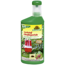 Lockstoff Obstfliegen Falle Lockstoff Obstfliegen Falle