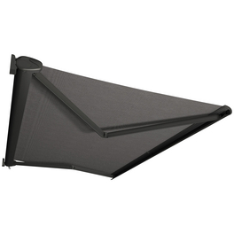 Markise »PERFORM«, BxT: 300x250 cm, anthrazit