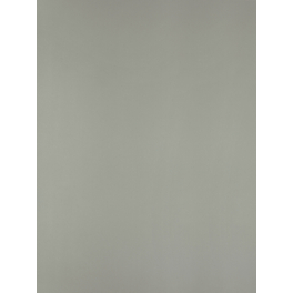 Möbelbauplatte, BxHxL: 300 x 19 x 2600 mm, silberfarben