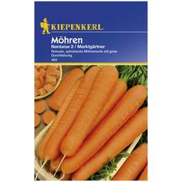 Möhre carota ssp. sativus Daucus