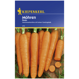 Möhre carota ssp. sativus Daucus