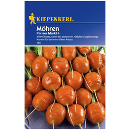 Möhre carota ssp. sativus Daucus »Pariser Markt 5«