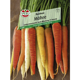 Möhren »Rainbow«, wohlschmeckende, bunte Mischung