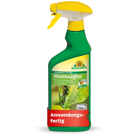 zimmerpflanze alocasia pflege ALOCASIA PLATINUM online kaufen bei potflourri
