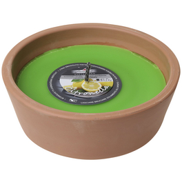 Outdoor-Kerze, Ø: 18,5 cm, apfelgrün, Duft: Zitronella