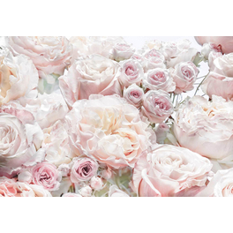 Papiertapete »Spring Roses«, Breite: 368 cm, inkl. Kleister