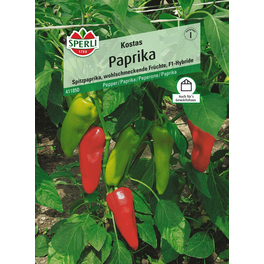 Paprika »Kostas«, milde, wohlschmeckende Früchte, kübelgeeignet