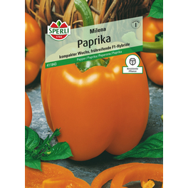 Paprika »Milena«, frühreifende Sorte, kompakter Wuchs