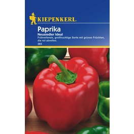 Paprika »Neusiedler Ideal«, ca. 20 Pflanzen
