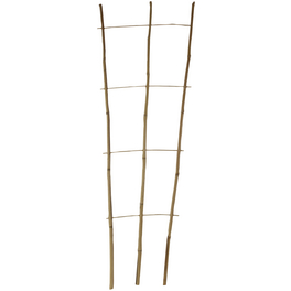 Pflanzengitter, bambus, Höhe: 110 cm