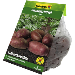 Pflanzkartoffel, Solanum tuberosum »Birgit«, 10 Stück