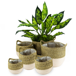 Pflanzkorb-Set, BxH:37 x 31 cm, natur/rosa
